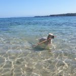 Calasetta Doggie Beach