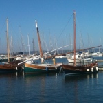 Barche a vela latina